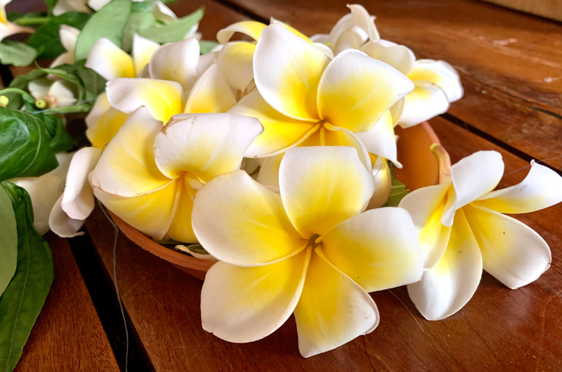 太古の癒し　ロミロミマッサージ